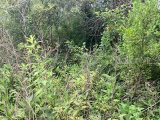 Great investment opportunity, 1.25 acres lot located in the Four Corners tourist area, close to Disney parks and hotels,
shops and restaurants in the surrounding area. Is a land locked area (no access by roads yet)