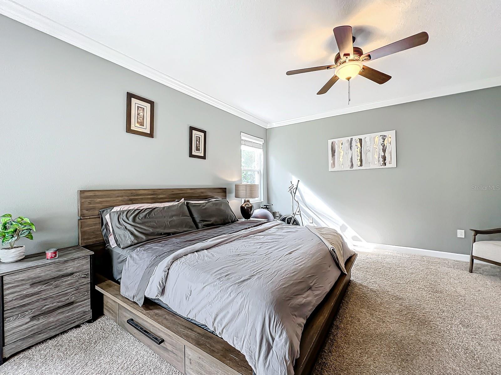 STONEYBROOK SOUTH - Residential