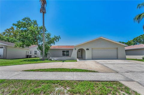 Photo of 11121 Peppertree Lane, Port Richey, FL 34668 (MLS # TB8421067)