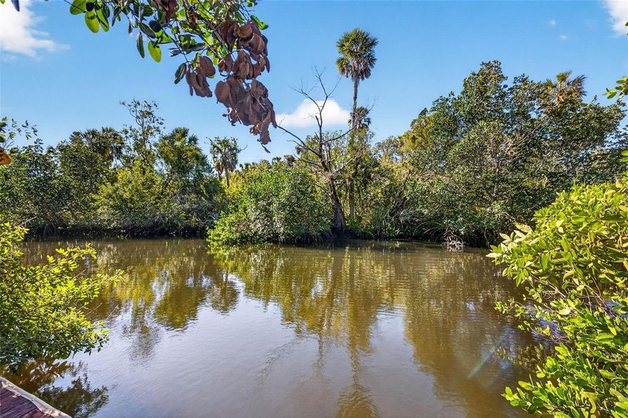 Build your dream home on this beautiful waterfront lot in a quiet Port Richey coastal community! This affordable property offers a rare combination of privacy and natural surroundings, with a lovely waterway leading out to the open Gulf—perfect for enjoying Florida’s wildlife and serene views.

The open, clear lot, gives you a head start on building your elevated home, while still maintaining a natural buffer for added seclusion. Located on a low-traffic street with nearby homes, you’ll enjoy both tranquility and convenience. Just minutes from golfing, marinas, hospitals, shopping, dining, parks, and fishing . Only 36 miles to the Tampa Airport. 

Don’t miss this opportunity to own a piece of Florida nature and create your ideal home in a scenic setting!