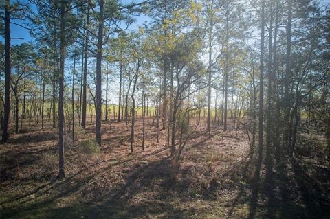 BLK 25 LOT 16 NW BUENA VISTA ROAD DUNNELLON FL 34431