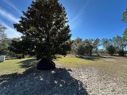 Tiny photo for 3090 SW Timberlake Road, Dunnellon, FL 34431 (MLS # OM713269)