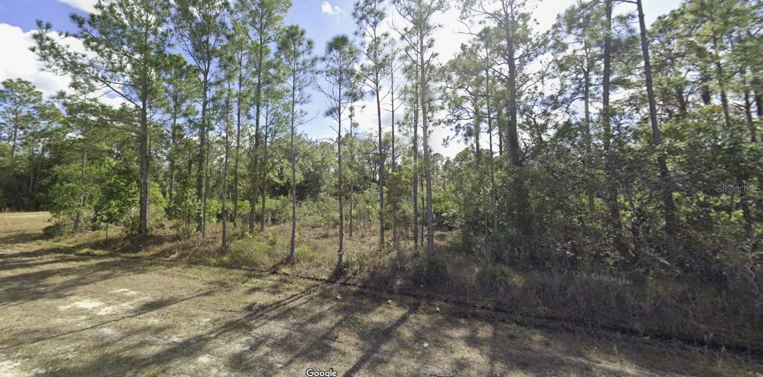 701 ORCHID DRIVE