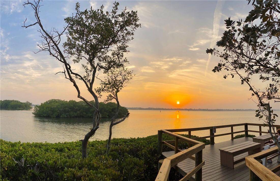 PELICAN COVE XVI - Residential Lease