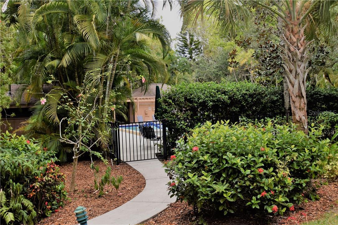***AVAILABLE NOW THROUGH NOVEMBER 30, 2025*** Tastefully furnished first floor condo that sleeps 4. Private screened-in lanai overlooks nature's splendor right outside your patio door! The community pool is steps away from the unit. Pelican Cove is a 75-acre gated, vibrant, waterfront community nestled among manicured tropical foliage truly offering something for everyone. Abundant amenities include an 86-slip boat harbor with sailboat water, excellent rates, and a launch dock for kayaks and canoes, 6 heated swimming pools, hot tub, 3 clubhouses, 4 lighted tennis courts, shuffleboard, basketball, dog walk area, 5.5 miles of walking trails and boardwalks as well as fishing gazebos, water exercise classes, exercise facilities, 2 art studios and a pottery classroom. Take classes at Pelican Cove University or join one of the more than 37 clubs for photography, fiber art, bike riding, yoga, Tai Chi, culinary arts, and card clubs. Woodworking, sculpting and evening jazz & classical music concerts round out the active lifestyle. Pelican Cove, the ultimate adult sanctuary, continues to be recognized and win awards for its landscaping and its superior management. Minutes from SIESTA KEY BEACH, restaurants, shopping, movie theaters and culturally rich downtown Sarasota. No Smoking, No recreation vehicles/No Pickup Trucks No Pets and No Motorcycles.