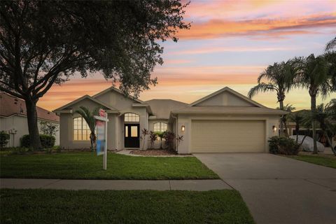 A home in RIVERVIEW