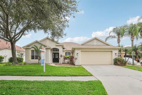 A home in RIVERVIEW