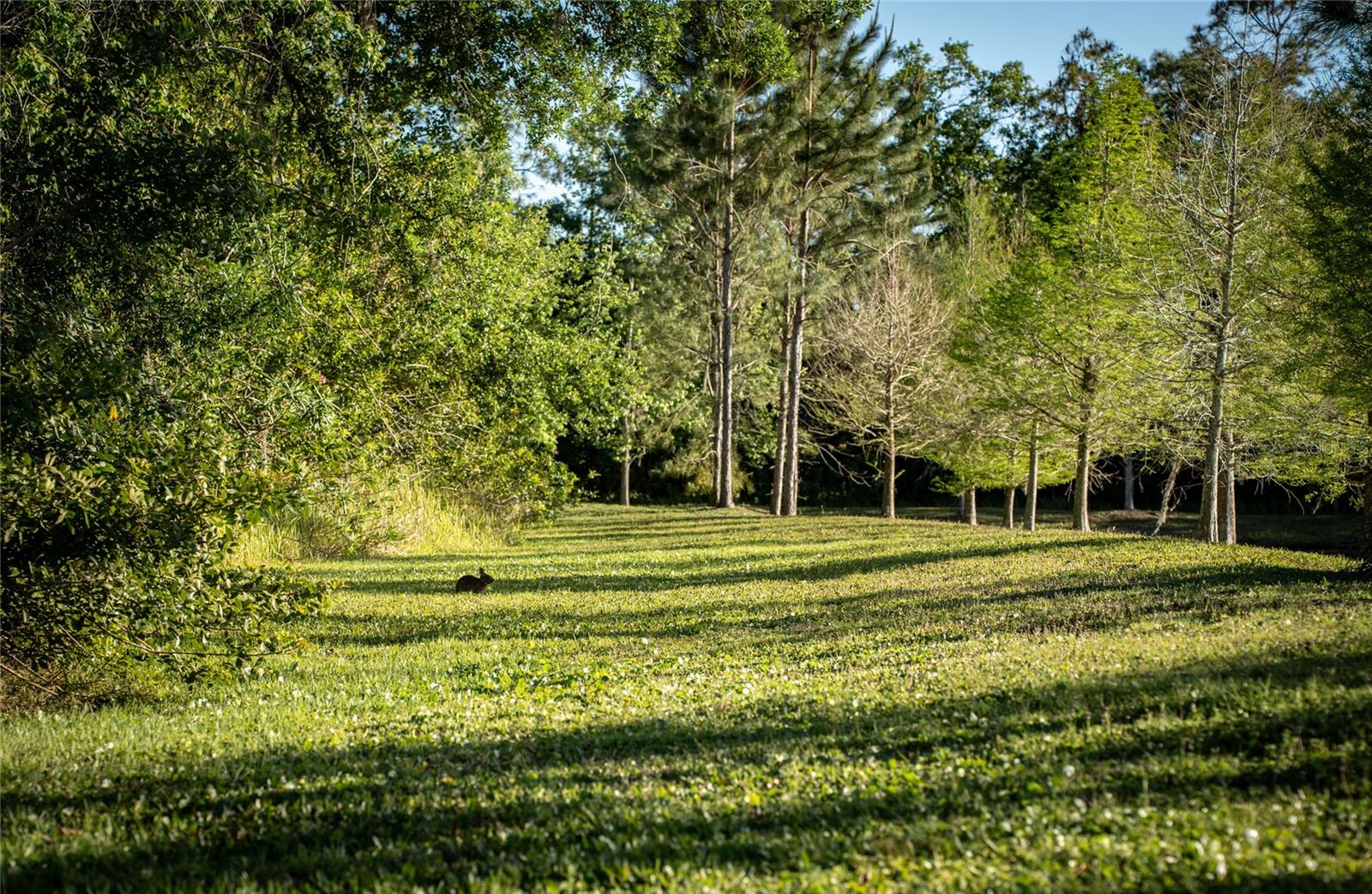 MAGNOLIA FARMS - Residential