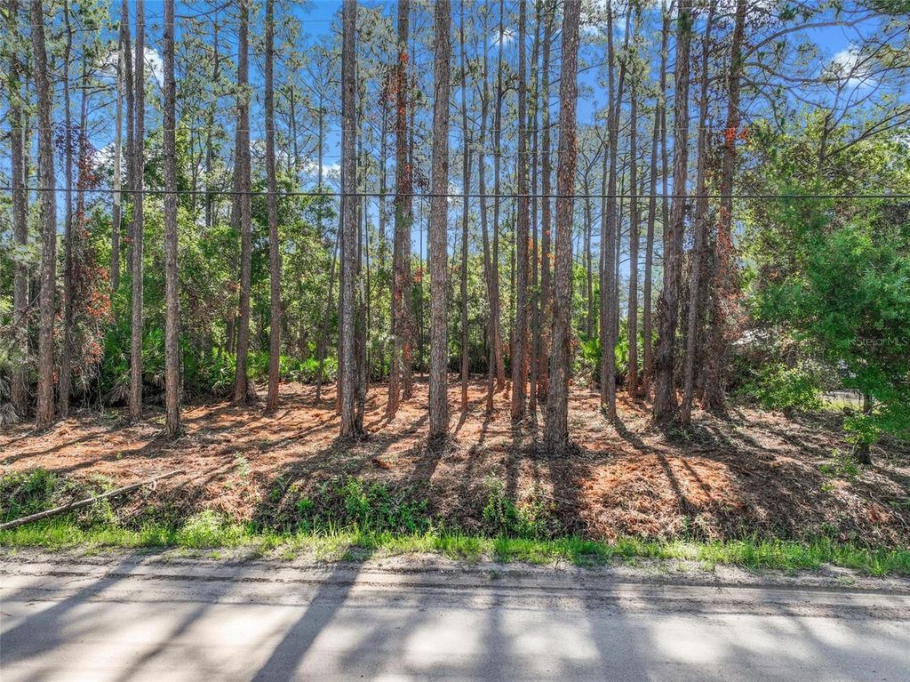 Photo of 2679 Forest Park Street, Bunnell, FL 32110 (MLS # O6412122)