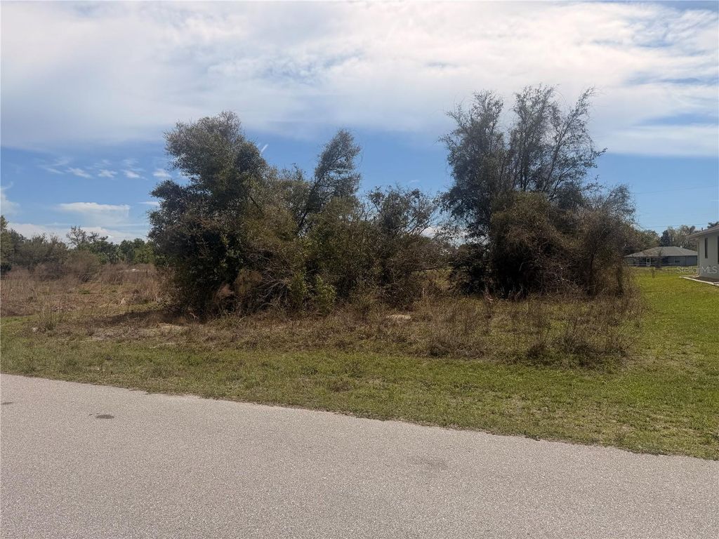 Photo of 31073 Peace Street, Punta Gorda, FL 33982 (MLS # TB8489262)