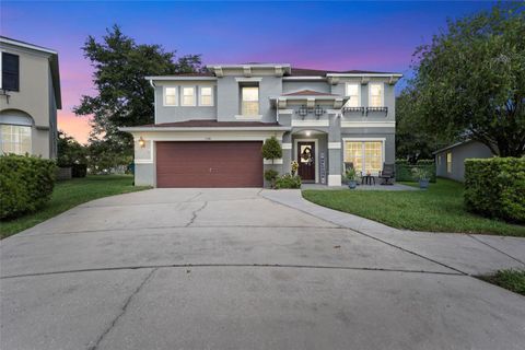 A home in MOUNT DORA