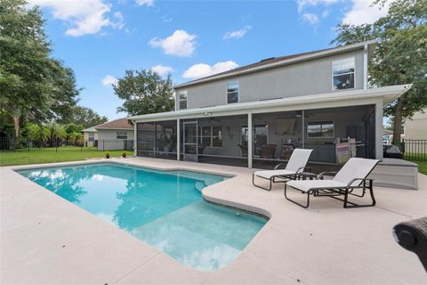 A home in MOUNT DORA