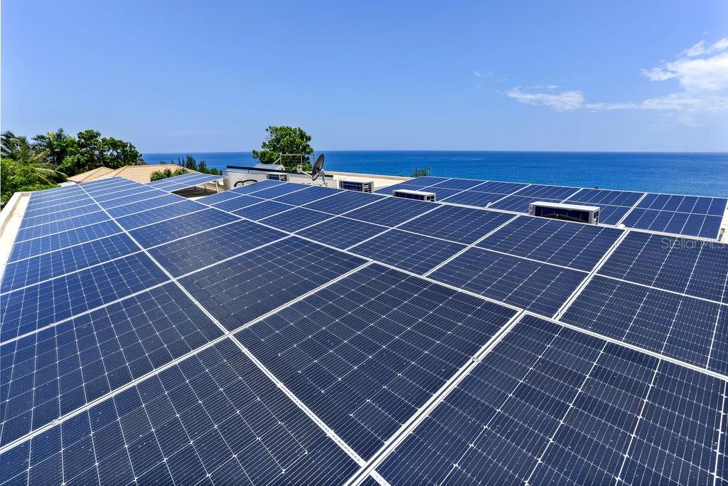 BO PUNTAS - Residential