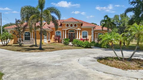 Photo of 2202 Sparkman Road, Plant City, FL 33566 (MLS # O6304477)