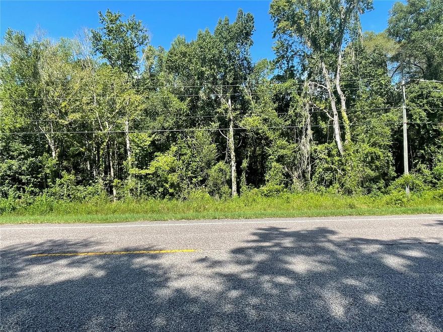 LOCATION. LOCATION. LOCATION.    6.27 Acres on State Road 471 with easy access to Lakeland, Tampa, Clermont or Orlando.    Property was used in the past as a pine tree farm and will need to be cleared.    If you are looking for land to build your next home and want to be close to shopping, schools, and other amenities, then this is a must see property.