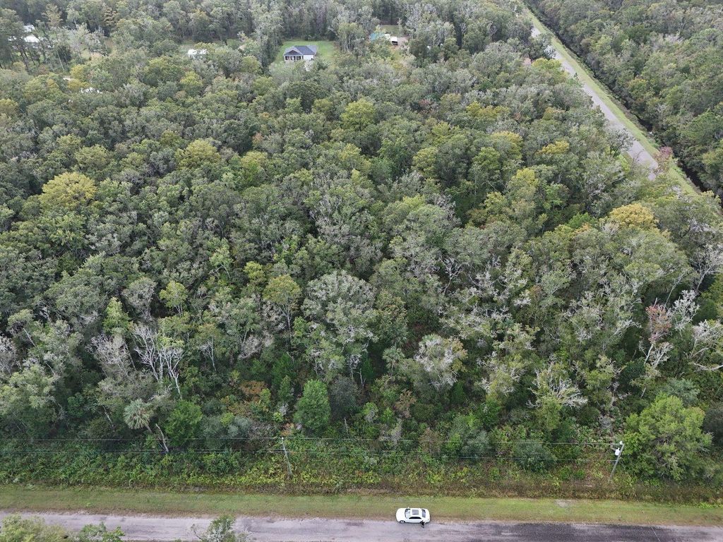 Photo of 10615 Ruth Avenue, Hastings, FL 32145 (MLS # TB8436964)