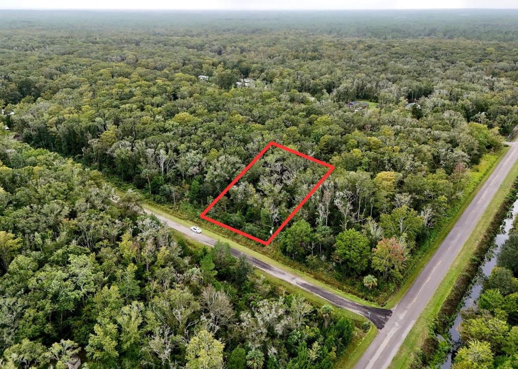Photo of 10615 Ruth Avenue, Hastings, FL 32145 (MLS # TB8436964)