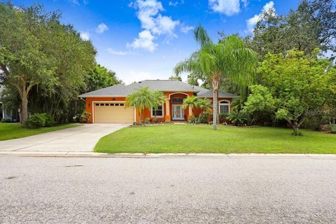 A home in BRADENTON