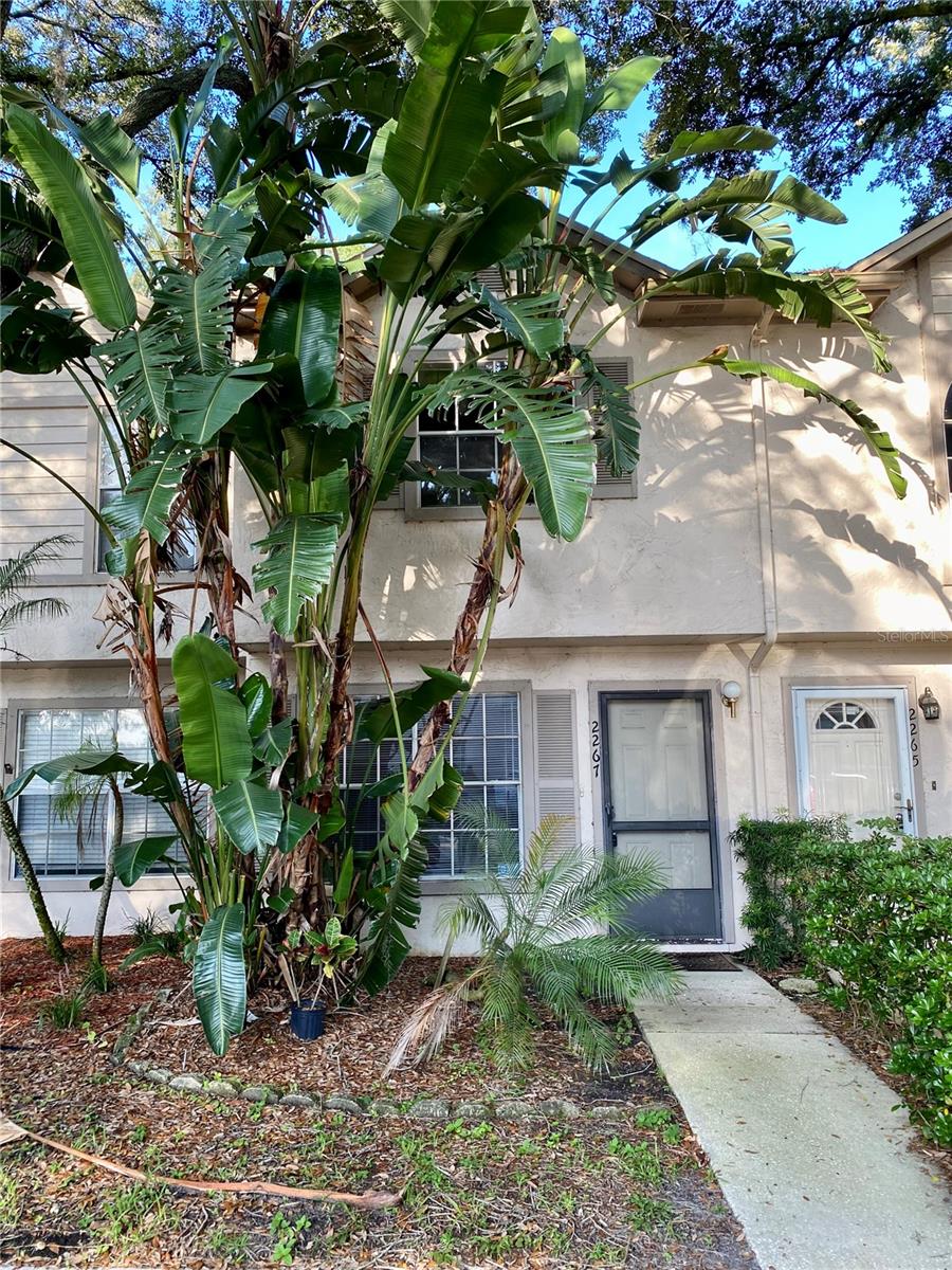 Comfortable 2 bedroom 2.5 bath townhouse in the heart of Carrollwood available for rent. First floor offers a large great room, dining room and kitchen with brand new stainless steel appliances. Lots of counter space and a breakfast bar for additional eating space. This home offers a neutral paint with ceramic tile throughout the first floor and NEW CARPET on second floor. The back patio is covered and screened with a peaceful conservation view. The laundry closet is equipped with a washer and dryer and additional storage area conveniently located on the back patio. Upstairs you will find two oversized bedrooms each with their own full bath and large closet. This park like community offers 1 assigned parking space and plenty of quest parking, community pool and is conveniently located to shopping and restaurants with easy access to I-275, Veterans, Dale Mabry and USF.
$75 App fee/adult, $300 non-refundable pet fee per pet, security deposit equal to one month's rent $75 tenant annual processing fee per household after acceptance, HOA application $50 per adult, renter's insurance required.