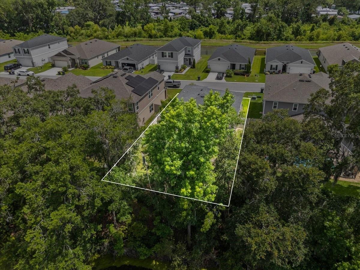 MEADOWS/SCOTT LAKE CRK - Residential