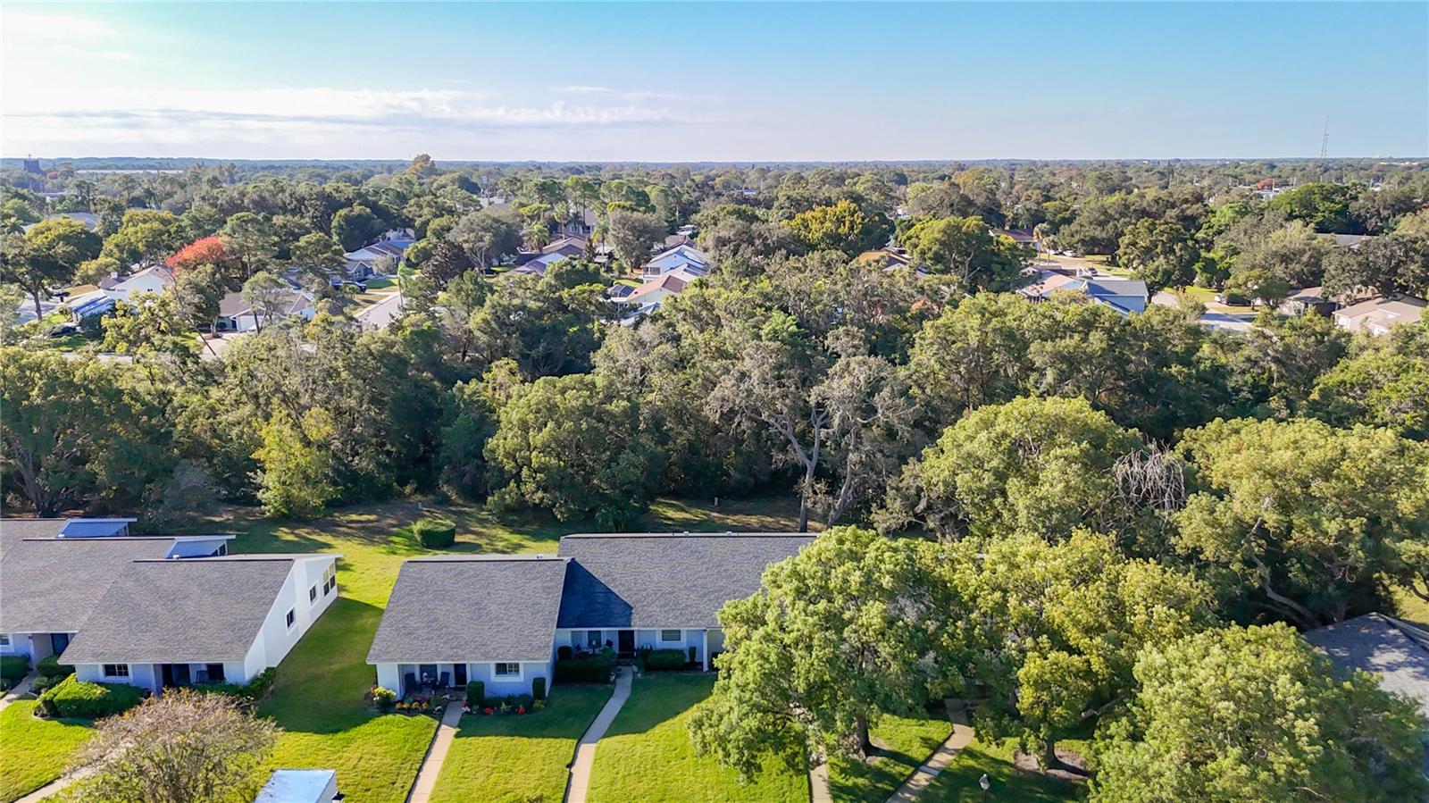 VILLAGE WOODS CONDO PH 02 - Residential