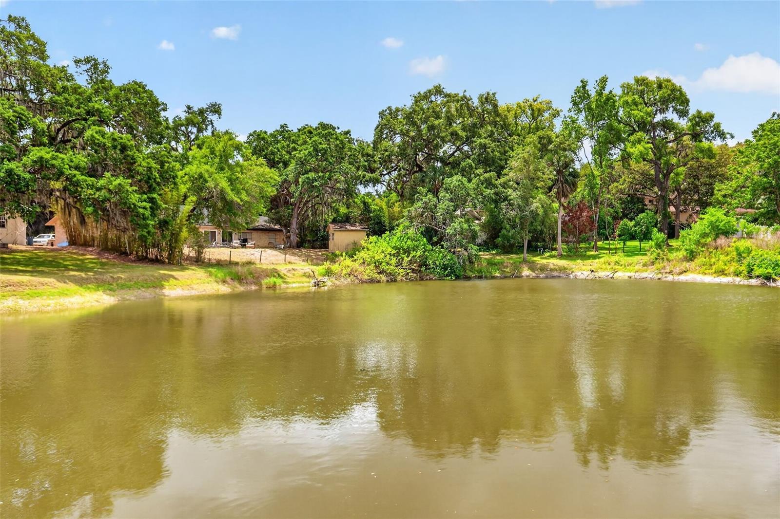 SILVER LAKE SPGS - Residential