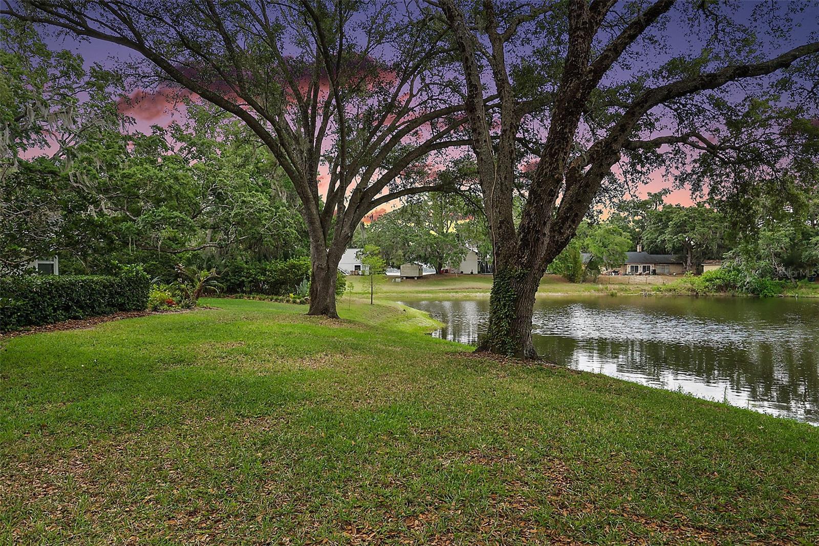 33746 SPRING DRIVE