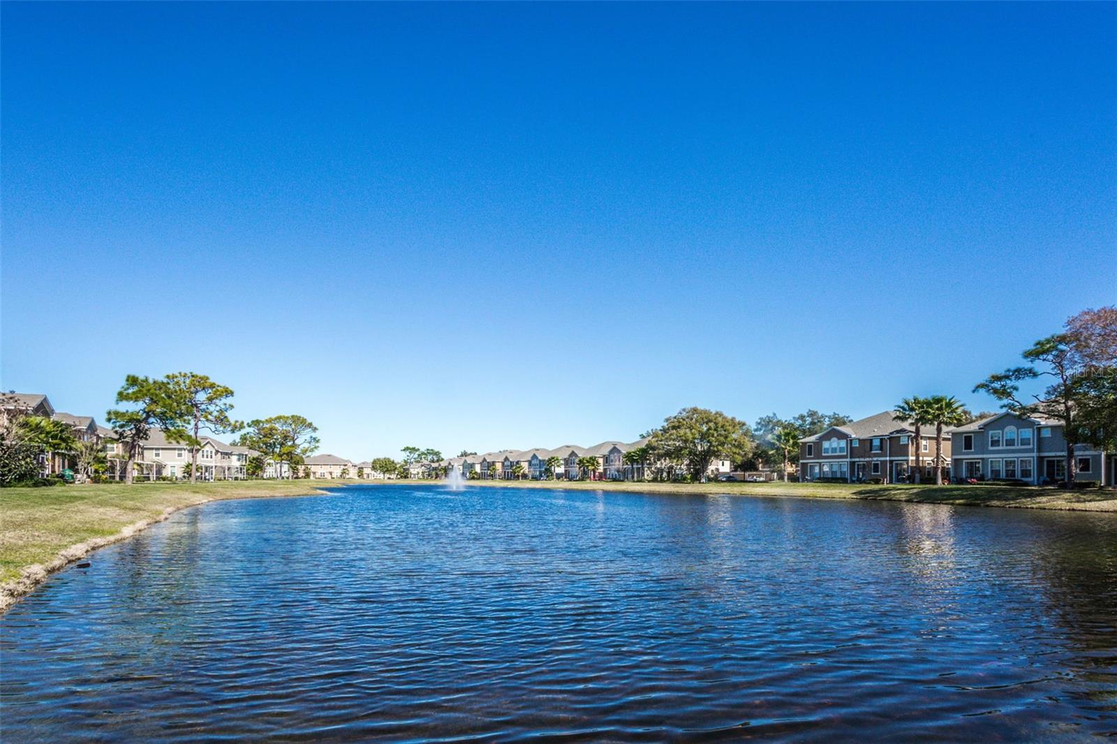 7001 INTERBAY BOULEVARD 336