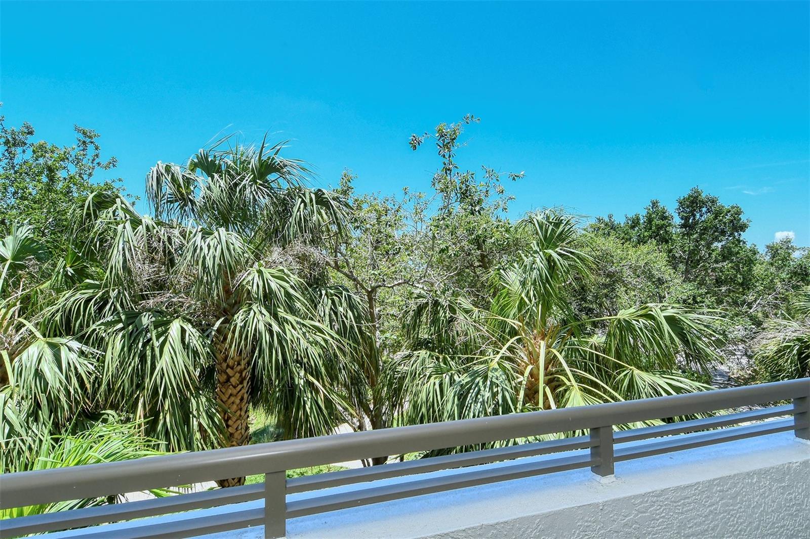 ALINARI - Residential Lease