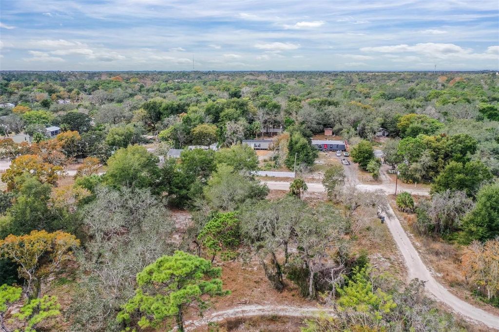 Photo of 10209 Sybil Lane, Hudson, FL 34667 (MLS # TB8454098)