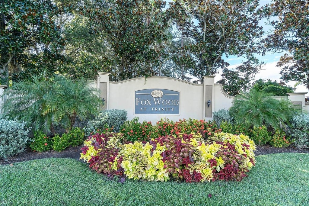 Photo of 1746 Roseroot Court, Trinity, FL 34655 (MLS # TB8544716)