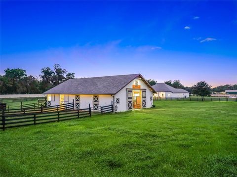 Tiny photo for 7041 NE 22nd Court Road, Ocala, FL 34479 (MLS # OM704149)