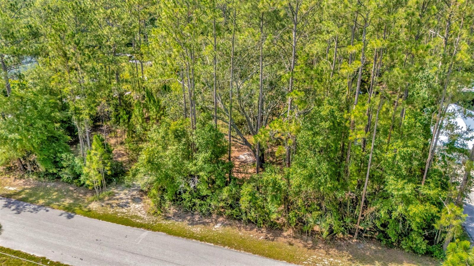 27422 GREEN WILLOW RUN