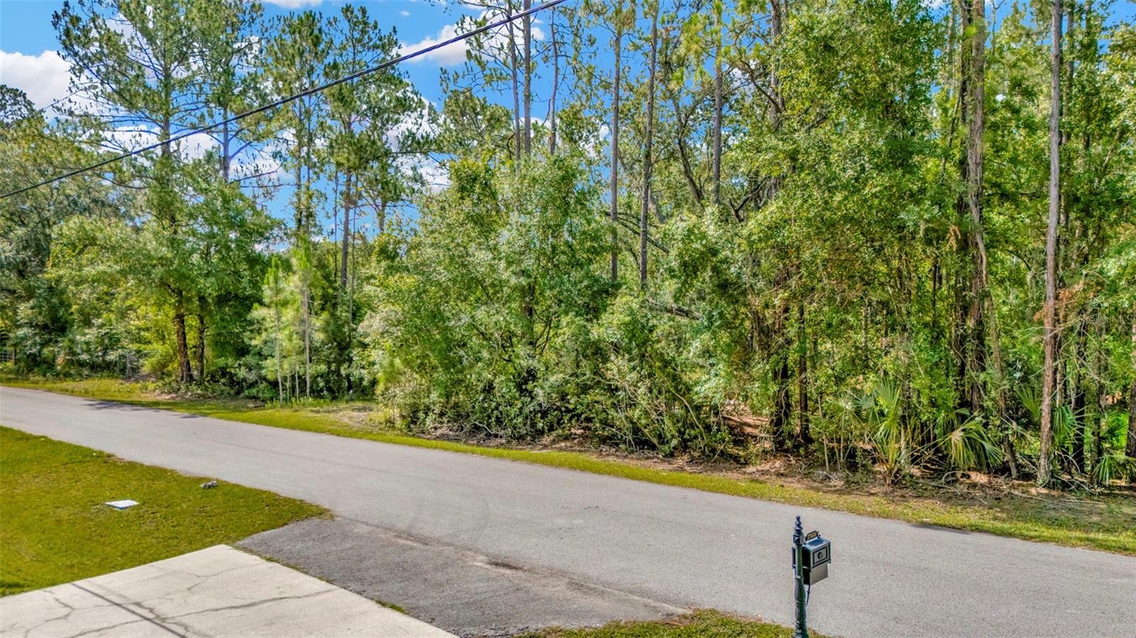 27422 GREEN WILLOW RUN
