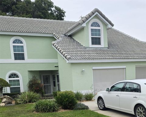 Photo of 753 Inverie Drive, Inverness, FL 34453 (MLS # OM716322)