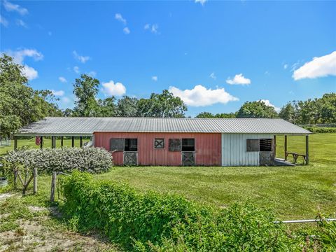 Tiny photo for 41204 Emeralda Island Road, Leesburg, FL 34788 (MLS # O6288414)