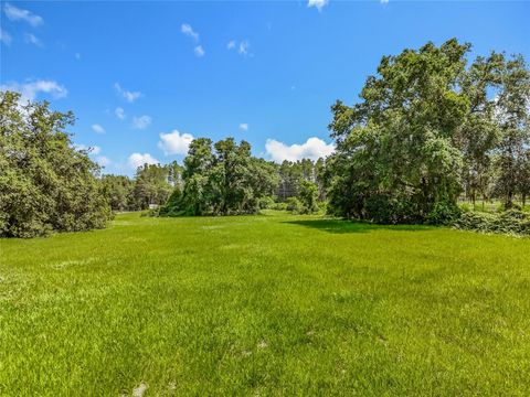 Tiny photo for 41204 Emeralda Island Road, Leesburg, FL 34788 (MLS # O6288414)