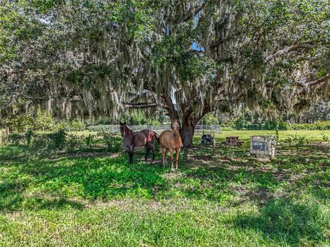 Tiny photo for 41204 Emeralda Island Road, Leesburg, FL 34788 (MLS # O6288414)