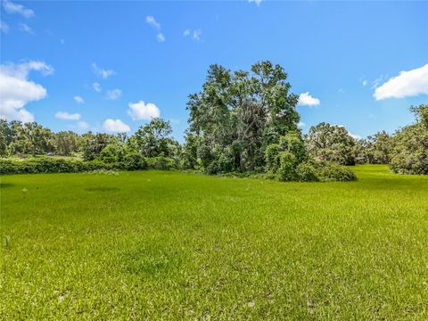 Tiny photo for 41204 Emeralda Island Road, Leesburg, FL 34788 (MLS # O6288414)