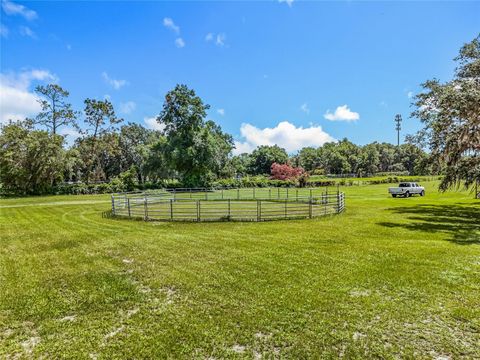 Tiny photo for 41204 Emeralda Island Road, Leesburg, FL 34788 (MLS # O6288414)