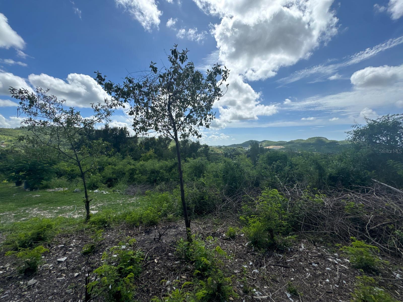 URB. LAS DELICIAS - Residential