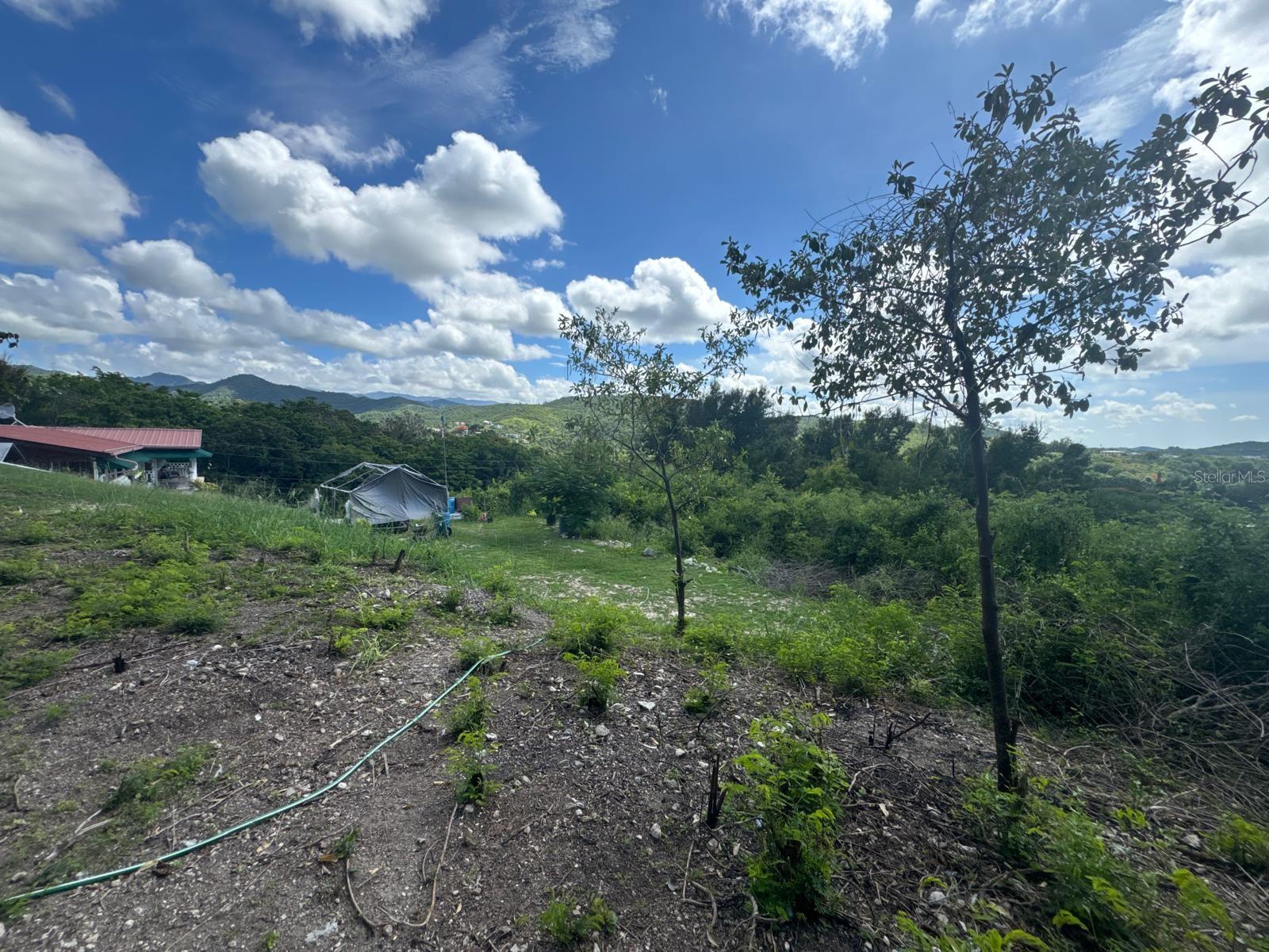 URB. LAS DELICIAS - Residential