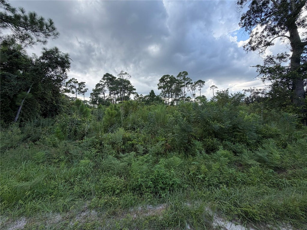 Photo of 0 Central Parkway, Deland, FL 32724 (MLS # V4950991)