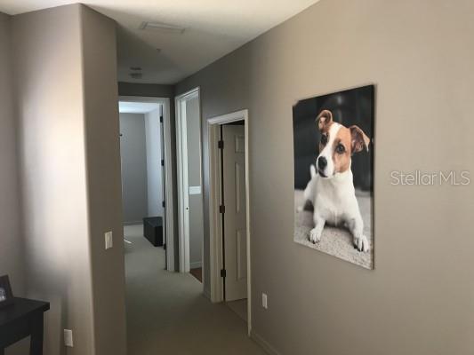 PALMER SQUARE EAST - Residential