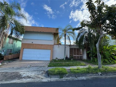 DD14 GARDENIA SAN JUAN  00926
