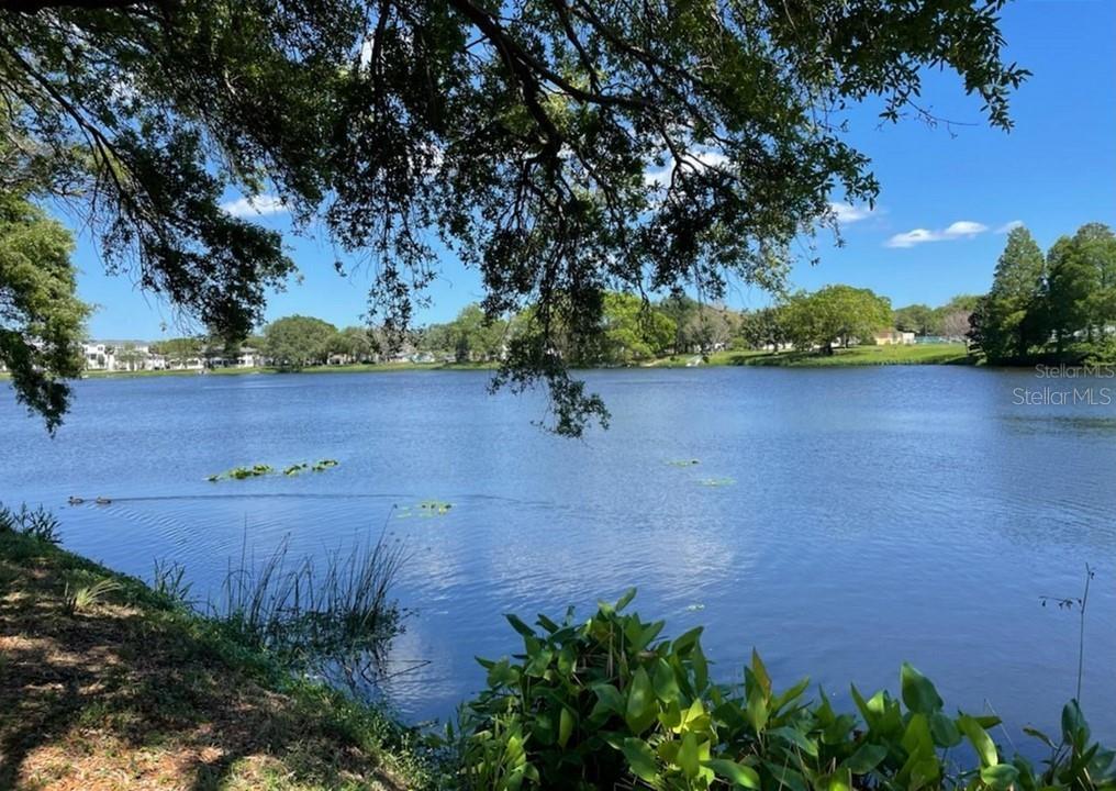 CRESCENT HEIGHTS - Residential Lease