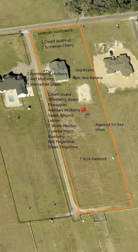 OLDE ENGLISH FARMS - Residential