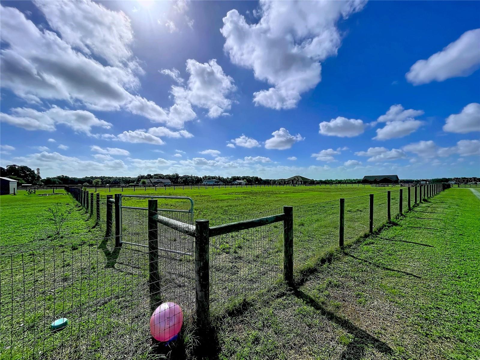 OLDE ENGLISH FARMS - Residential