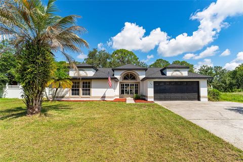 A home in KISSIMMEE