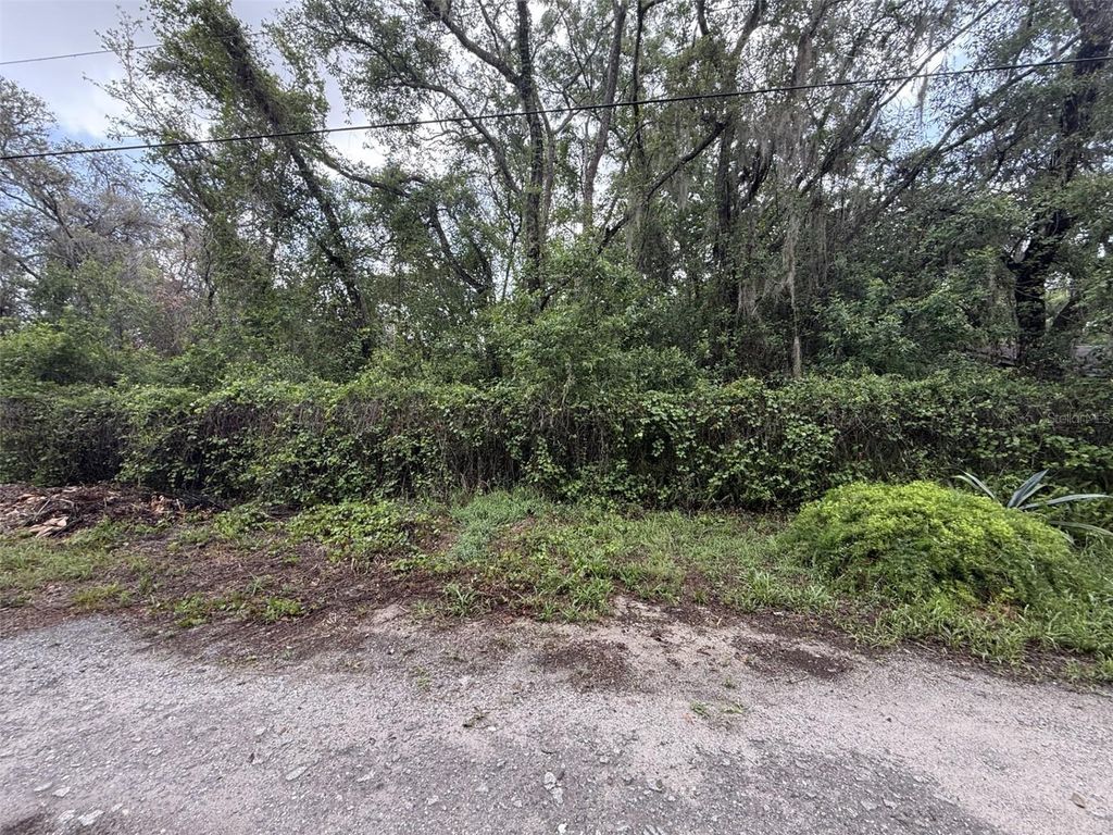 Photo of 10934 Leon Street, New Port Richey, FL 34654 (MLS # W7886172)
